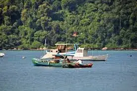 Barcos de pesca ancorados em mar calmo