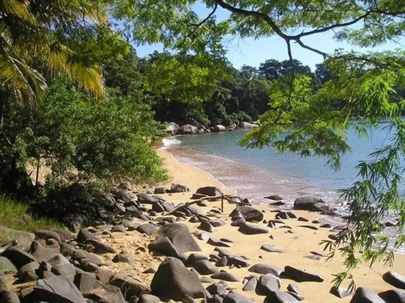 Mata Atlântica encontrando o mar